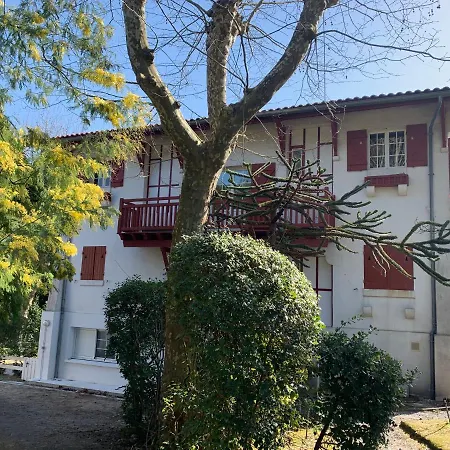 Le Ptit Moulleau Apartament *